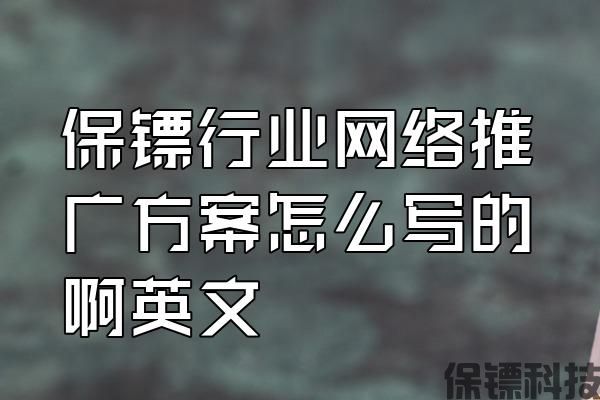 保鏢行業(yè)網(wǎng)絡(luò)推廣方案怎么寫(xiě)的啊英文