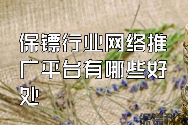 保鏢行業(yè)網(wǎng)絡(luò)推廣平臺(tái)有哪些好處