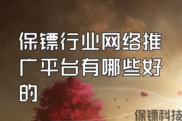 保鏢行業(yè)網(wǎng)絡推廣平臺有哪些好的