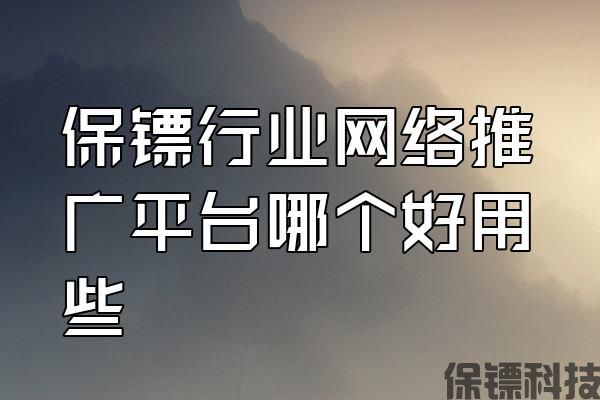 保鏢行業(yè)網(wǎng)絡(luò)推廣平臺(tái)哪個(gè)好用些