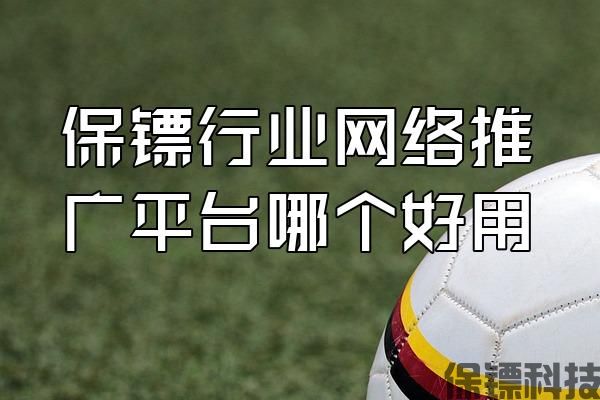 保鏢行業(yè)網(wǎng)絡推廣平臺哪個好用