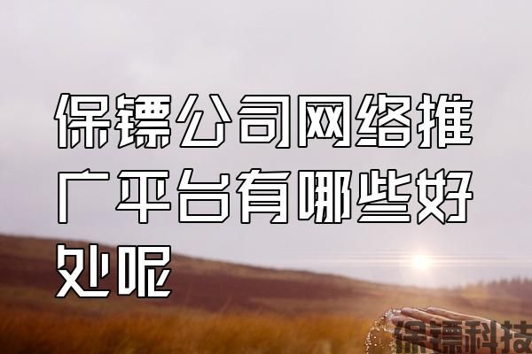 保鏢公司網(wǎng)絡(luò)推廣平臺有哪些好處呢