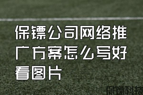 保鏢公司網(wǎng)絡(luò)推廣方案怎么寫好看圖片