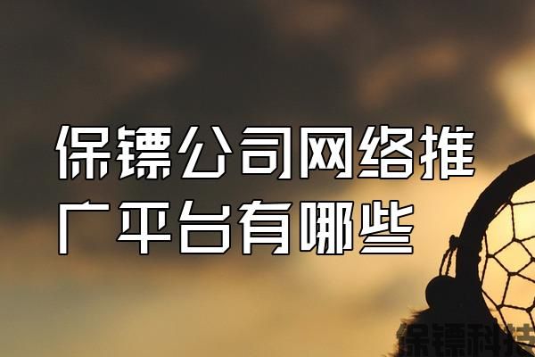 保鏢公司網(wǎng)絡(luò)推廣平臺有哪些