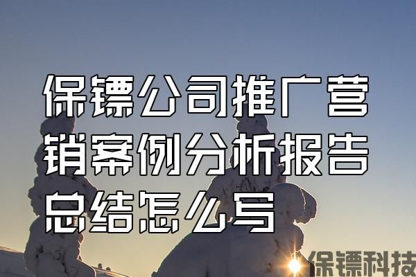 保鏢公司推廣營(yíng)銷案例分析報(bào)告總結(jié)怎么寫(xiě)