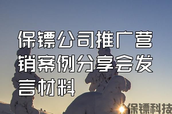 保鏢公司推廣營銷案例分享會發(fā)言材料