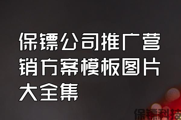 保鏢公司推廣營銷方案模板圖片大全集