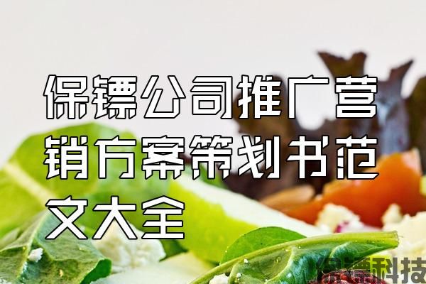 保鏢公司推廣營銷方案策劃書范文大全