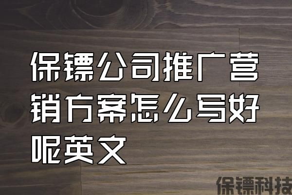 保鏢公司推廣營(yíng)銷方案怎么寫好呢英文