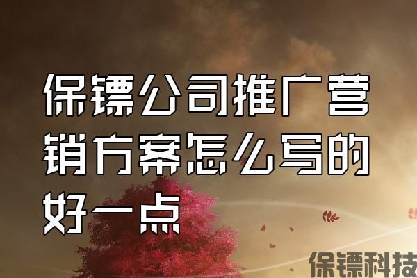 保鏢公司推廣營銷方案怎么寫的好一點