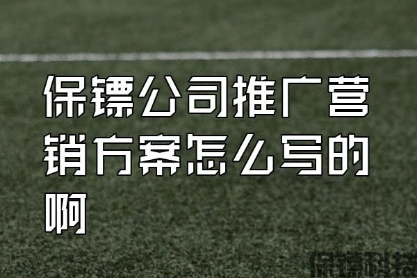 保鏢公司推廣營(yíng)銷(xiāo)方案怎么寫(xiě)的啊