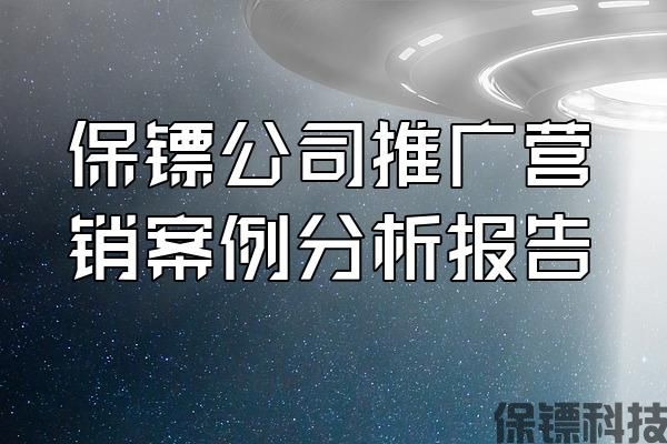 保鏢公司推廣營銷案例分析報(bào)告