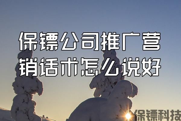 保鏢公司推廣營銷話術(shù)怎么說好