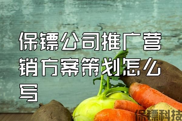 保鏢公司推廣營銷方案策劃怎么寫