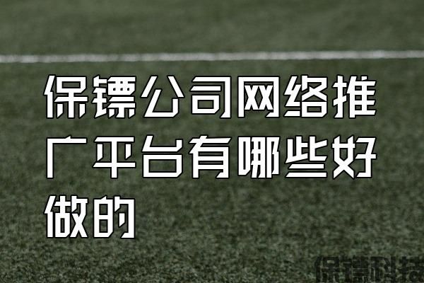 保鏢公司網(wǎng)絡(luò)推廣平臺有哪些好做的