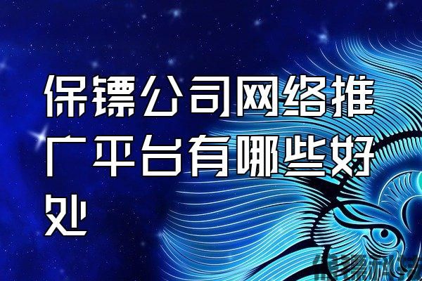 保鏢公司網(wǎng)絡推廣平臺有哪些好處