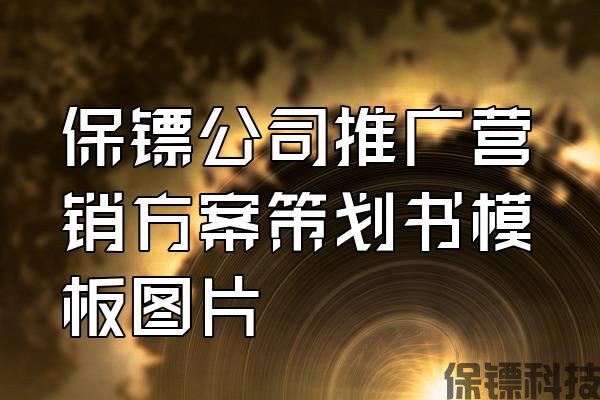 保鏢公司推廣營(yíng)銷方案策劃書(shū)模板圖片