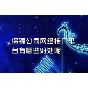 保鏢公司網(wǎng)絡推廣平臺有哪些好處呢