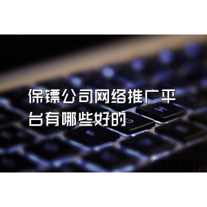 保鏢公司網(wǎng)絡推廣平臺有哪些好的