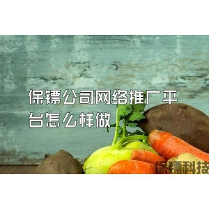 保鏢公司網絡推廣平臺怎么樣做