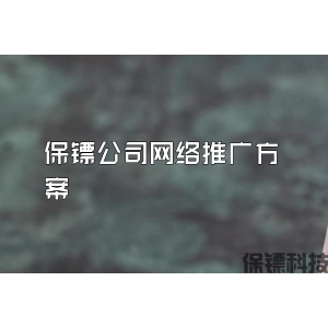 保鏢公司網(wǎng)絡(luò)推廣方案