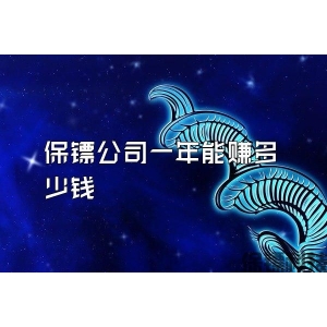 保鏢公司一年能賺多少錢(qián)