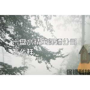 六盤(pán)水精英保鏢公司怎么樣